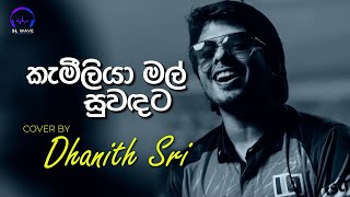 කැමීලියා මල් සුවඳට  Kameliya Mal Suwandata Cover  Dhanith Sri [upl. by Lazos787]