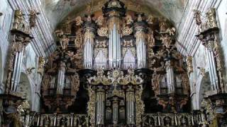 Leżajsk  XVII ct pipe organ  J S Bach Toccata and Fugue in d minor BWV 565 [upl. by Alidis]