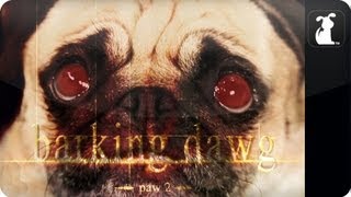 The Twilight Saga Breaking Dawn Part 2  Barking Dawg Paw 2 Petody [upl. by Willtrude]