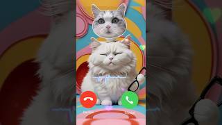 Mi Telephone Calling Effect ringtone ♥️♥️ Call Sound Effect shorts ringtone cat [upl. by Lili]