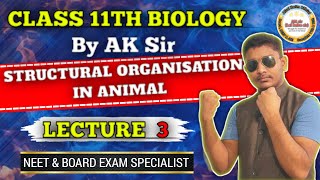 Structural organisation in Animal lecture 3  Class 11th Biology By ak sir AfzalKarimOfficial [upl. by Sallad895]