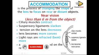 ACCOMMODATION amp Binoculars  grade 12 life sciences  ThunderEDUC  Msaidi [upl. by Fleming]