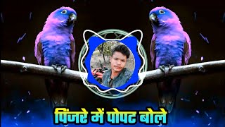 Pinjre Mein Popat Bole Adi Dhamal Mix  DJ PAWAR MP28 [upl. by Ibbetson]