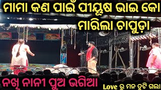 ମାମା କଣ ପାଇଁ ପୀୟୂଷ ଭାଇ କୋ ମାରିଲା ଚାପୁଡ଼ା ନଖି ନାନୀ ପୁଅ ଭଗିଆ Love ରୁ ମନ ତୁଟି ଗଲା  Manisa Vlogs [upl. by Ermeena]