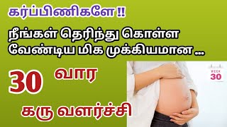 pregnancy symptoms in tamil  30 weeks pregnancy symptoms in tamil  30 weeks baby development tamil [upl. by Mou]