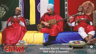 Mâallem Rachid Hamzaoui  Gnawa Festival The Hague  lHoumer [upl. by Einnoc]