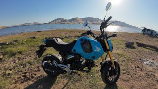 My New Honda Grom Short Ride [upl. by Eciram499]