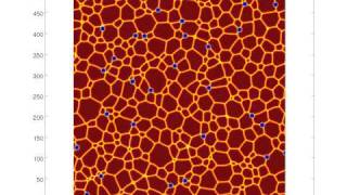 Phase Field Model for Grain Growth with second phase [upl. by Burford]