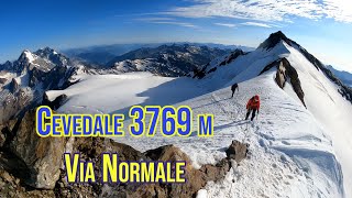 Cevedale 3769 m  Via Normale da Rif Pizzini [upl. by Angeline]