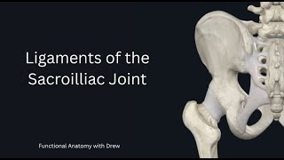 Ligaments of the Sacroilliac joint [upl. by Irme496]