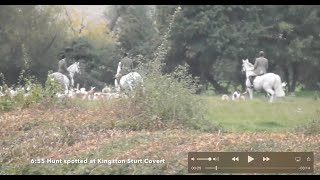 FOX CARCASS DANGLED IN FRONT OF HOUNDS AT NOTORIOUS KIMBLEWICK HUNT [upl. by Eintirb]