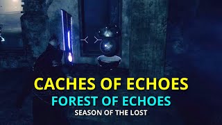 Caches of Echoes  Forest of Echoes  Destiny 2 PS5 [upl. by Ozne]