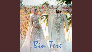 Bin Tere [upl. by Malik338]