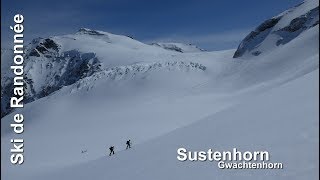 Ski de randonnée  Sustenhorn  3503m [upl. by Veleda347]