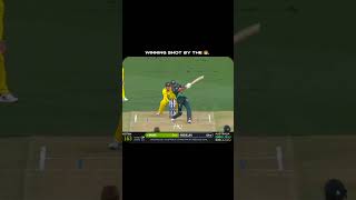 Winning Shot 👑 youtubeshorts cricket viralvideo trending [upl. by Landau]