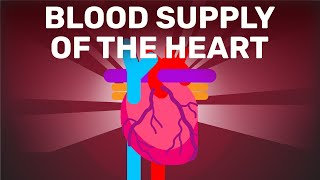 The Clever Supply of Blood to The Heart  Physiology [upl. by Retla843]