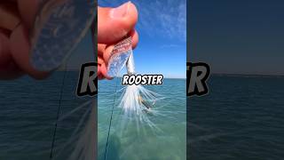 Let’s fish with a ROOSTER TAIL 🐟🎣 fishing fish [upl. by Tshombe]