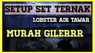 Lobster Air Tawar  Cara buat set ternak lobster mudah [upl. by Ragnar]