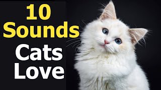 10 Sounds Cats Love To Hear The Most [upl. by Snapp]