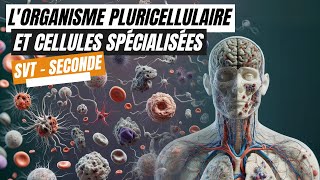 Lorganisme pluricellulaire un ensemble de cellules spécialisées  SVT seconde [upl. by Slemmer]