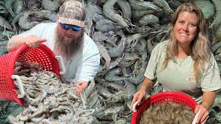 The BIGGEST river SHRIMP I ever caught Catch and Cook Shrimp Boulettes [upl. by Aicilaana]