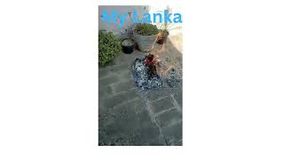 My Lanka [upl. by Labannah]