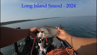 Saltwater Kayak Fishing Summer 2024 [upl. by Reis]