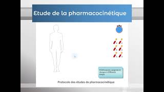 Modélisation et paramètres pharmacocinétiques Partie 1PHARMACOLOGIE [upl. by Drape]