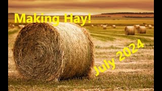 Were Making Hay  July 2024 [upl. by Nosnor]