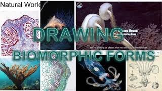 Drawing biomorphic forms inspired from students examples and artists work [upl. by Sergius]