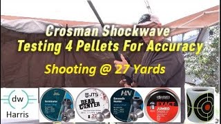 Crosman Shockwave Break Barrel Air Rifle Pellet Testing [upl. by Gonyea]