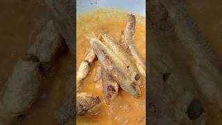 PARSHE MACHHER TEL JHAL youtubeshorts cooking parshe recipe food [upl. by Arda349]