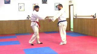 TECNICAS DE PROYECCIÓN CINTURON AMARILLO DE HAPKIDO [upl. by Aleahs]