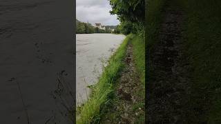 Hochwasser  Wasserburg am Inn [upl. by Barnie]