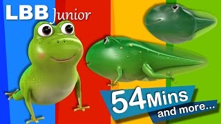 Life Cycle of A Frog Song  And Lots More Original Songs  From LBB Junior [upl. by Nodrog]