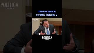 🗣️ Guzmán vs Fries Debate por participación del pueblo Huilliche [upl. by Aitra528]