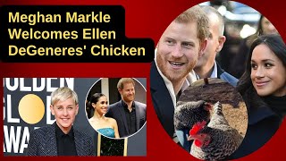 Meghan Markle Welcomes Ellen DeGeneres Chicken to New Home in Rare Instagram Video [upl. by Neelra247]