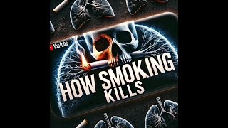 Journey Inside the Body  3D Animation of Smoking Effects on Health SmokingEffects AntiSmoking [upl. by Trebleda]