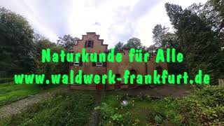 Waldwerk Frankfurt Griesheim Niedwald [upl. by Tarrah]