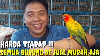 HARGA TIARAP  SEMUA BURUNG DI JUAL HARGA MURAH BIKIN PRAMUKA TAMBAH PANAS [upl. by Gnivri]