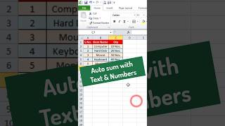 MS Excel Autosum with Numbers and Text excel [upl. by Pavla]