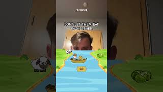 SHEEP GAME LIKE and SUBSCRIBE game [upl. by Lesnah]