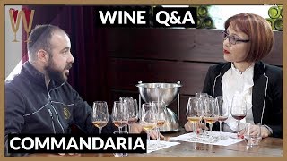 VLOG 007  Commandaria Wine  Tsiakkas Winery [upl. by Pierson]