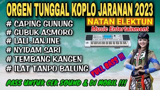 ORGEN TUNGGAL KOPLO JARANAN  COVER NATAN ELEKTUNE❗Caping gunung Gubuk asmoro lali janjine [upl. by Roeser]