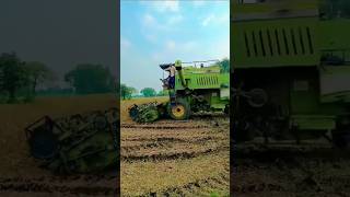 Farming 🥰🥰 lover 😀😀 sort🤟🤟sort viralvideo farming [upl. by Erickson922]