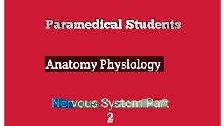 NERVOUS SYSTEM PART 2 [upl. by Tyra]