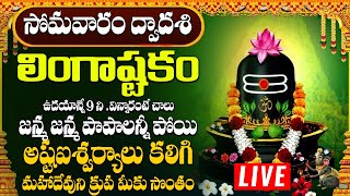 లింగాష్టకం  LINGASHTAKAM MONDAY SPECIAL POWERFUL BHAKTI SONGS 2024 [upl. by Adyht737]