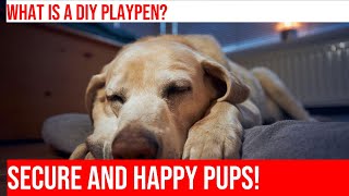 DIY Building a Playpen for Your Golden Retriever Puppy [upl. by Ajuna]