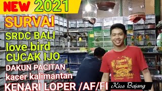 UPDATE HARGA BURUNG TERBARU 2021 kios BAJANG SIGIT pasar burung Pramuka [upl. by Langley]