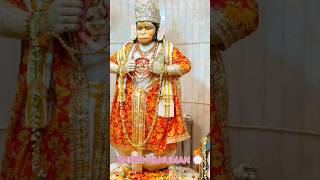 Shree Hanuman Chalisa shree hanumanchalisa hanuman chalisa jaishreeram bhagwan bhaktibhajan [upl. by Hamburger355]